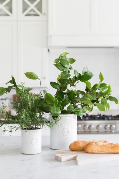 Farmhouse Pottery Miller Crocks