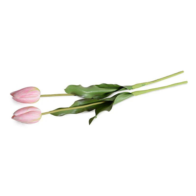 Dutch Pink Tulip Stem