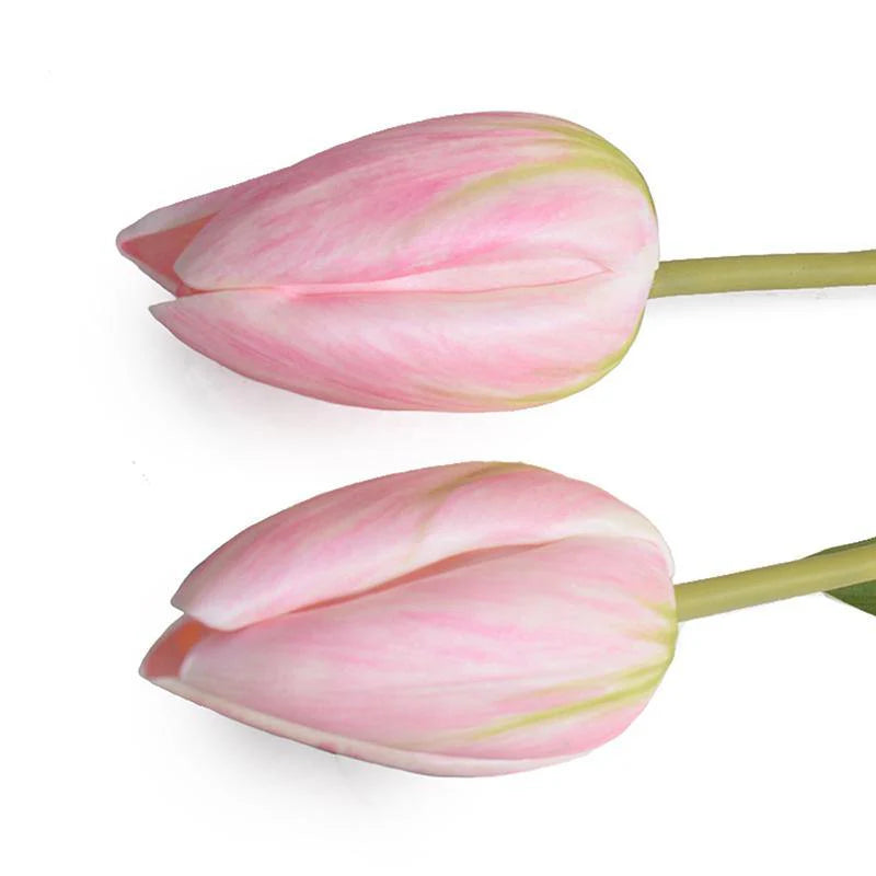 Dutch Pink Tulip Stem