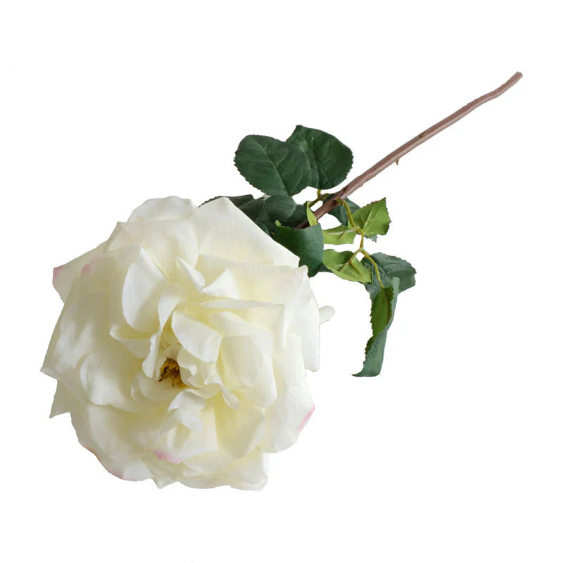 White Rose Stem