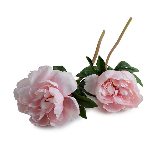Peony Stem with Leaves