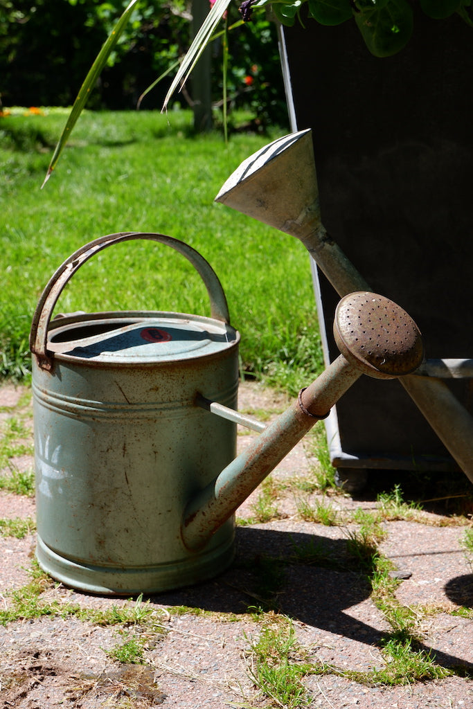 Antique European Watering Can