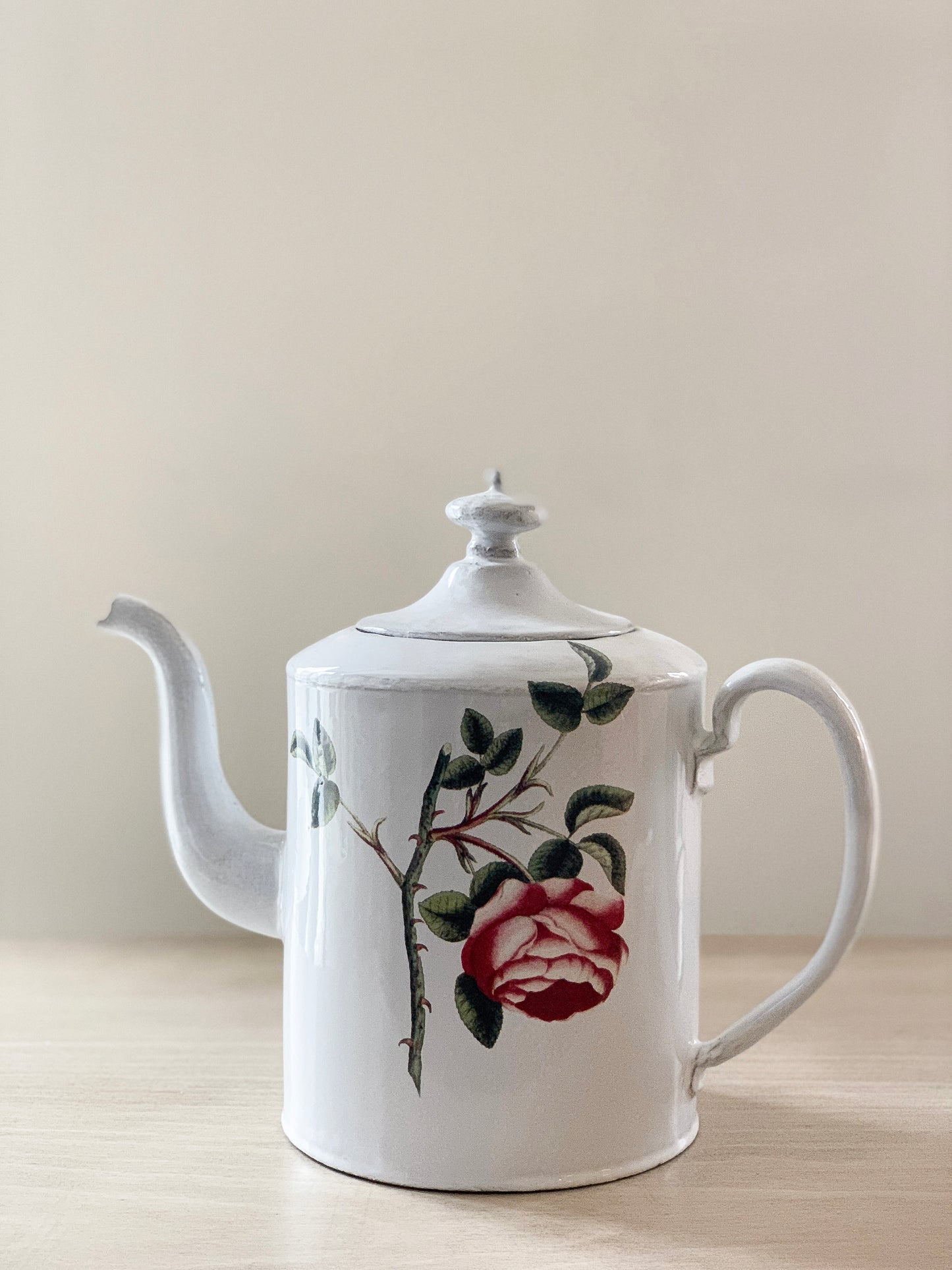 Rosa Centilolia Teapot