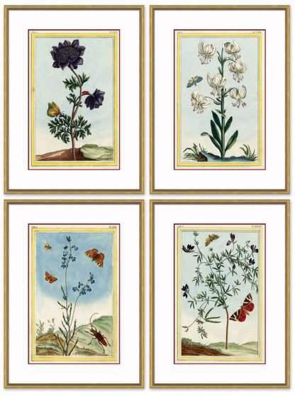 Botanicals (Set of Four)