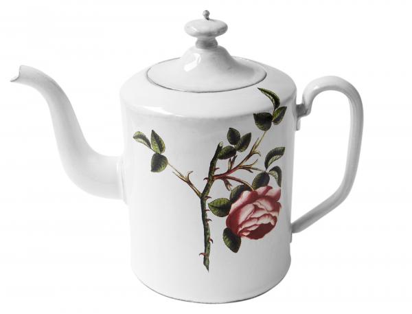 Rosa Centilolia Teapot