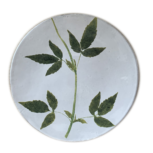 Jasminum Plate